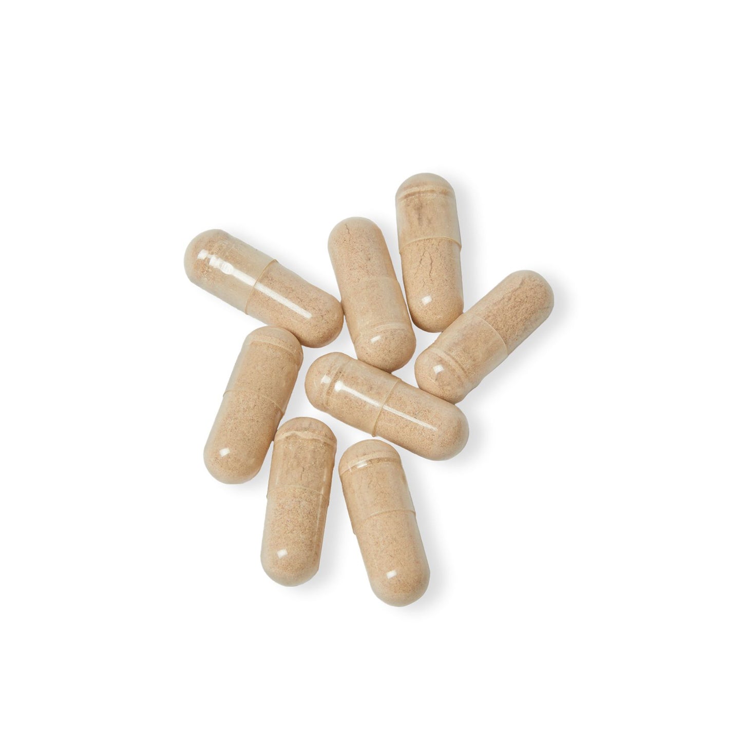 Brain Support Complex Supplement (60 Capsules)